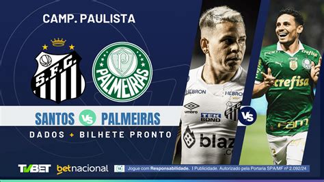 palpites para jogos do santos|Palmeiras x Santos: palpites, odds, onde assistir ao vivo, .